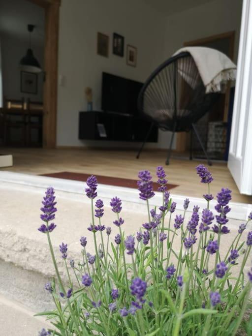 Ferienwohnung Zur Parthe Grimma Zewnętrze zdjęcie